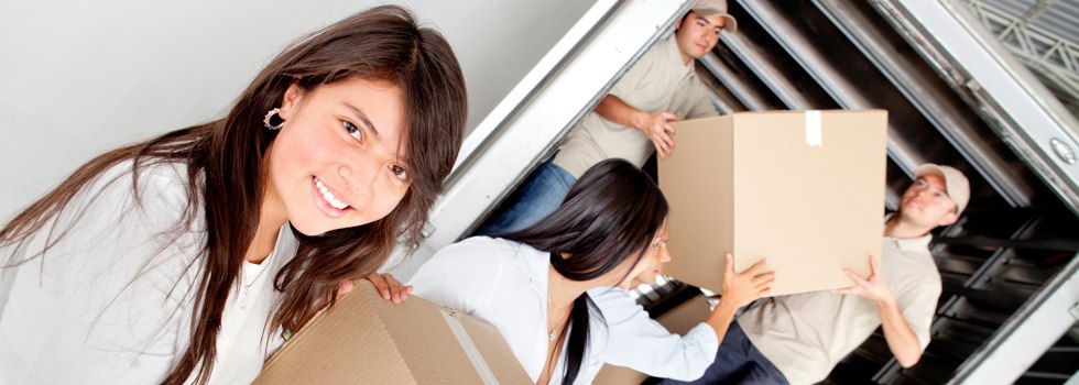 Professional Removalists Lowden